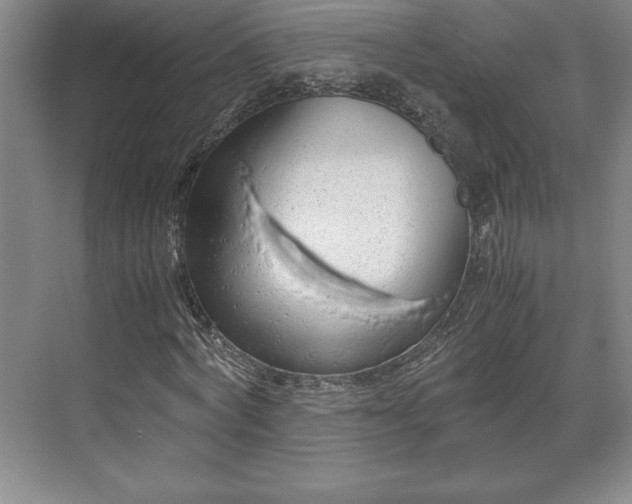 X0000071780772200607071429