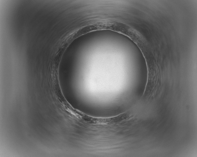 X0000071780773200607071429