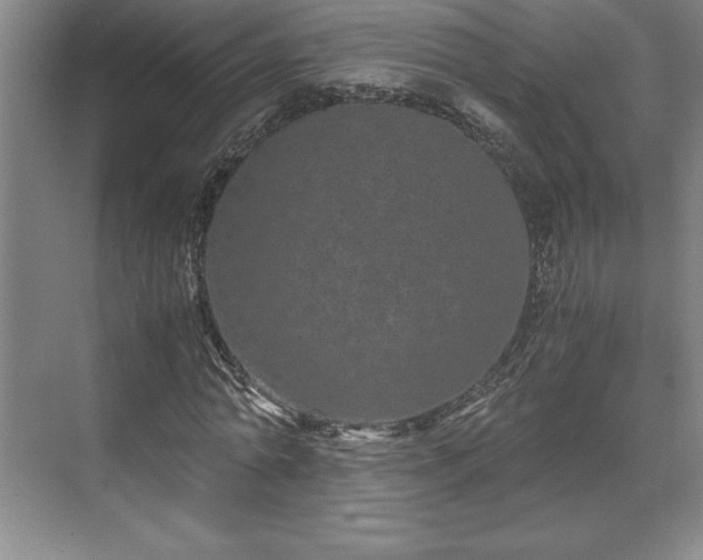 X0000071780774200607071429