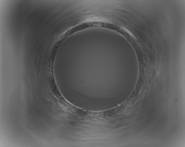 X0000071780775200607071429