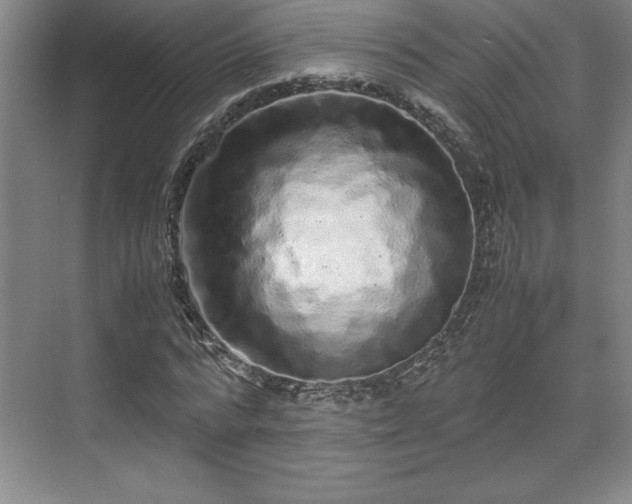 X0000071780776200607071429