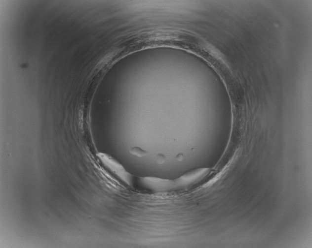 X0000071780777200607071429