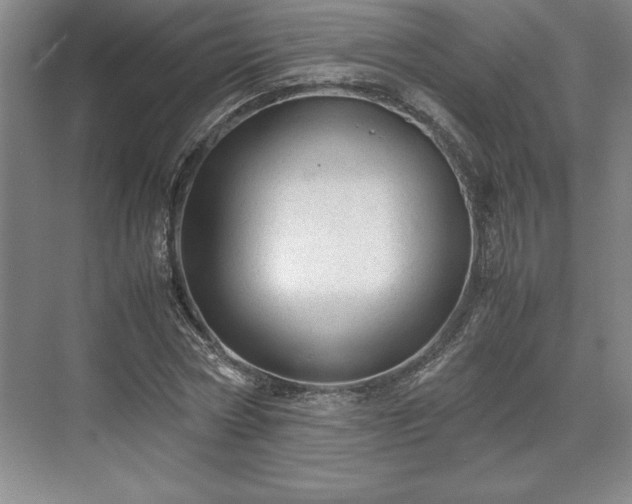 X0000071780778200607071429