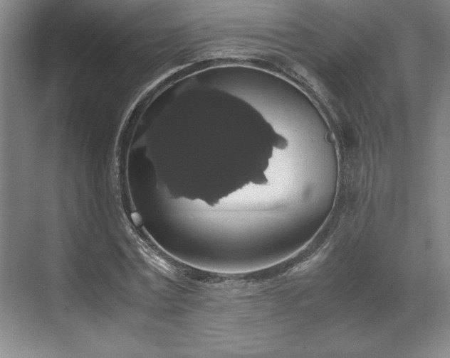 X0000071780779200607071429