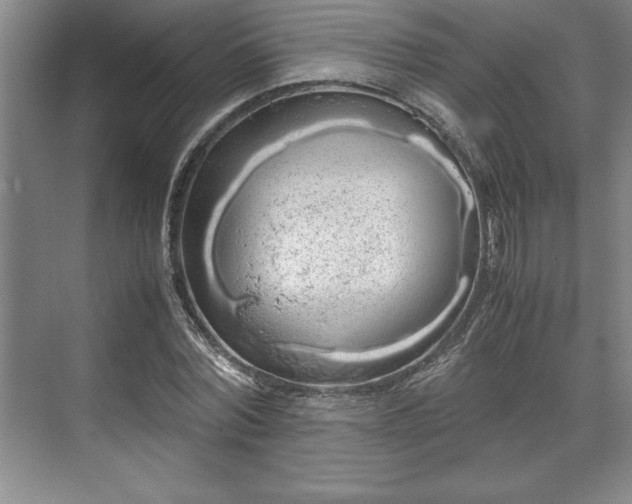 X0000071780780200607071429