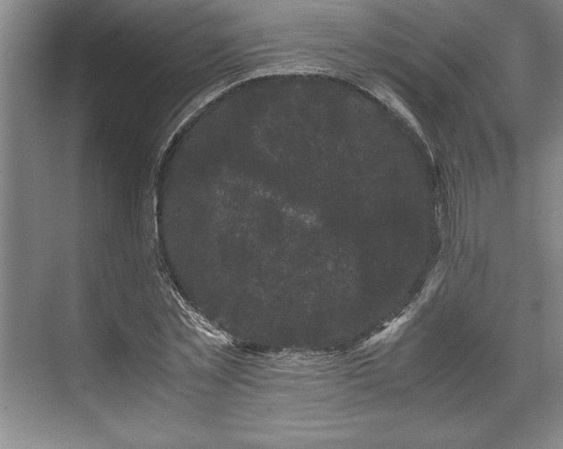 X0000071780781200607071429