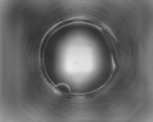 X0000071780784200607071428