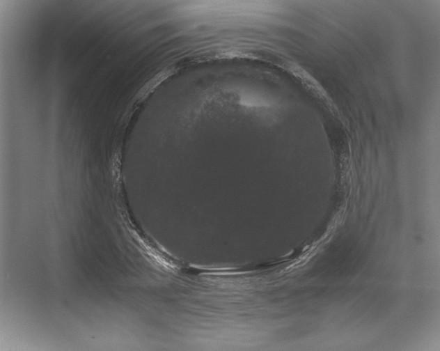 X0000071780785200607071428