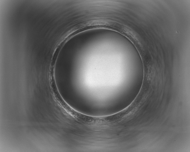 X0000071780786200607071428