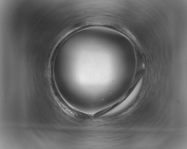 X0000071780787200607071428