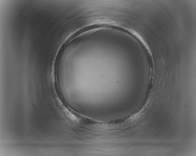 X0000071780791200607071428