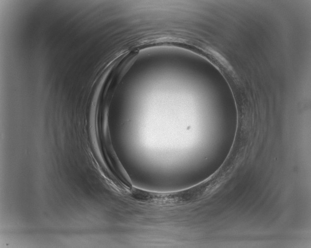 X0000071780793200607071428