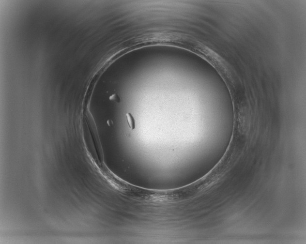 X0000071780794200607071428