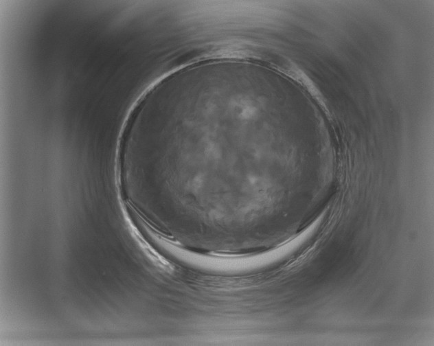 X0000071780795200607071428