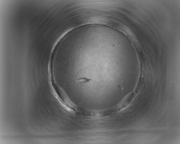 X0000071780796200607071428