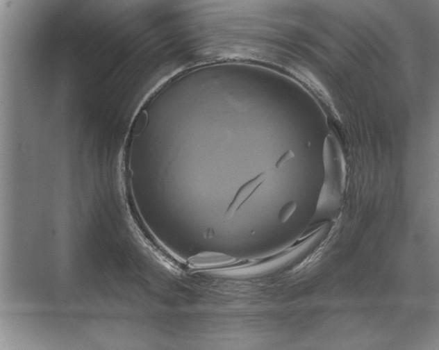 X0000071780798200607071428