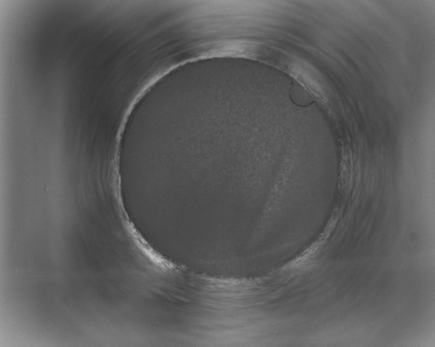 X0000071780800200607071428