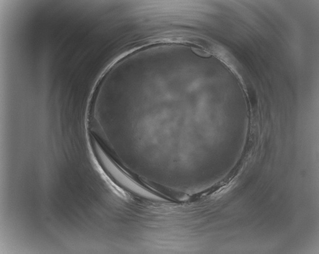 X0000071780803200607071428