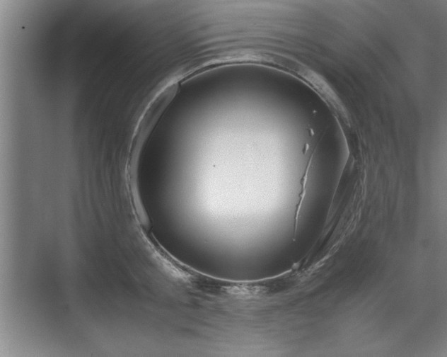 X0000071780805200607071428