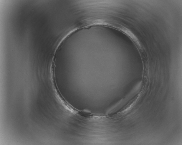 X0000071780806200607071428