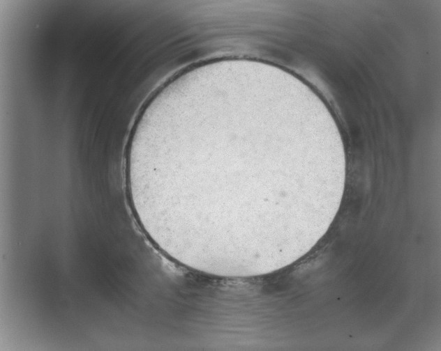 X0000071780807200607071428