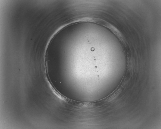 X0000071780808200607071428