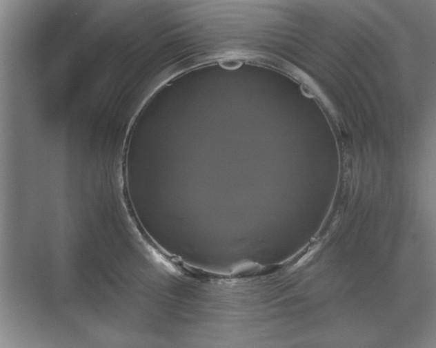 X0000071780810200607071428