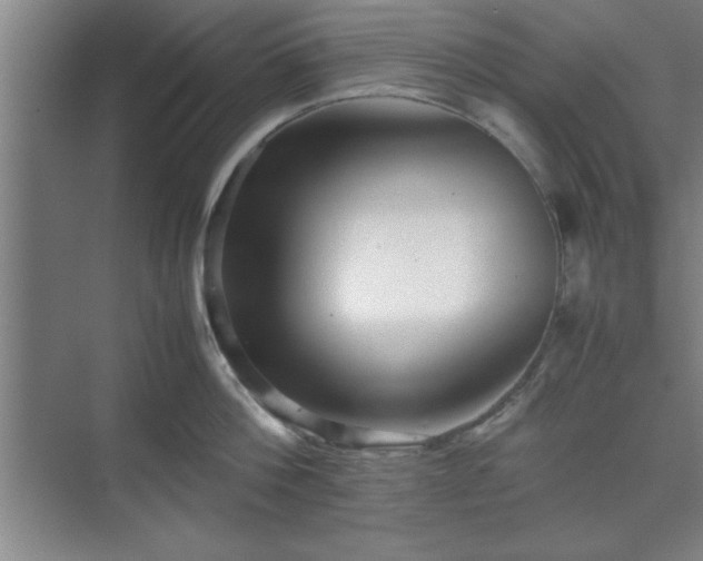 X0000071780812200607071428