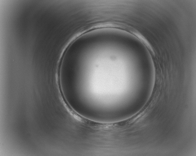 X0000071780813200607071428