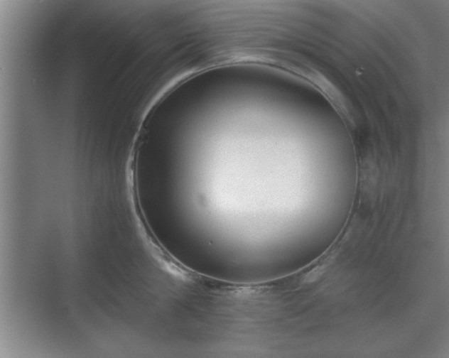 X0000071780814200607071428