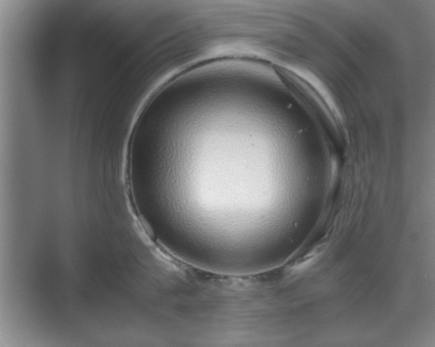 X0000071780815200607071428