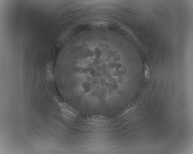 X0000071780819200607071427