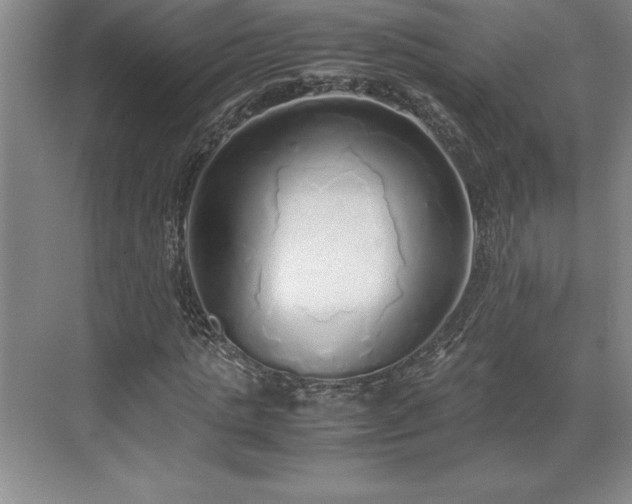 X0000071780821200607071427