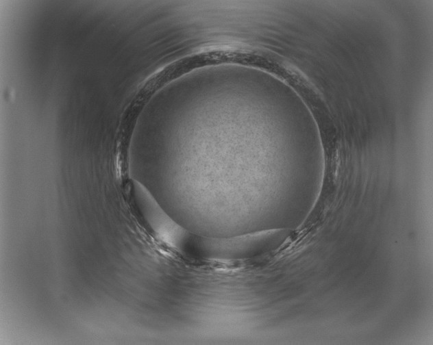 X0000071780822200607071427