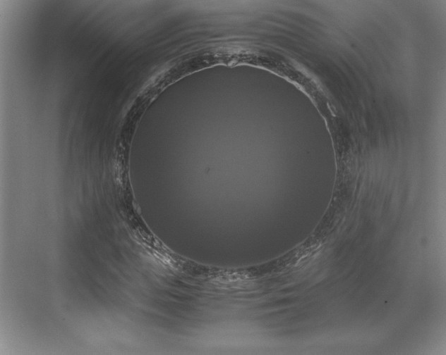 X0000071780823200607071427