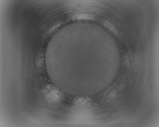 X0000071780824200607071427