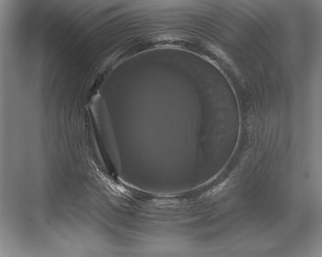 X0000071780825200607071427