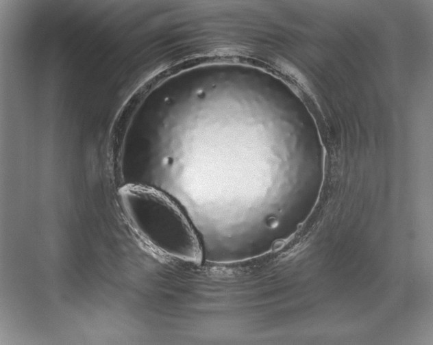 X0000071780827200607071427