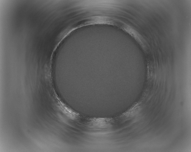 X0000071780828200607071427