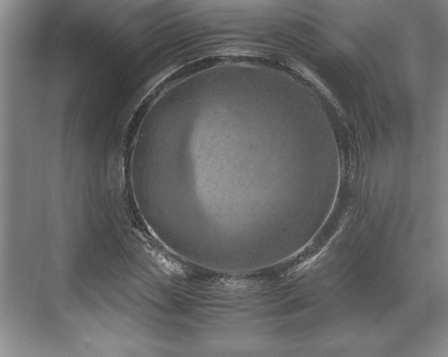 X0000071780829200607071427