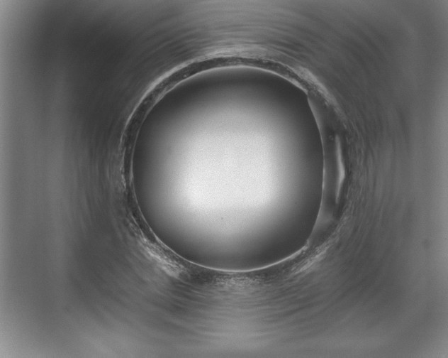 X0000071780830200607071427