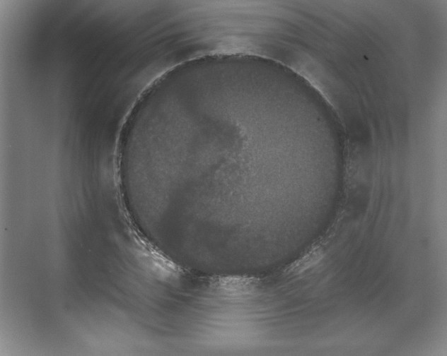 X0000071780832200607071427