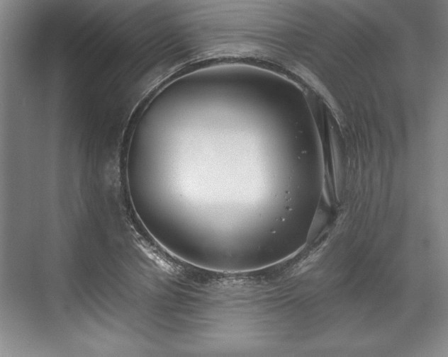 X0000071780834200607071427