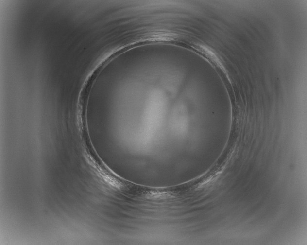 X0000071780835200607071427