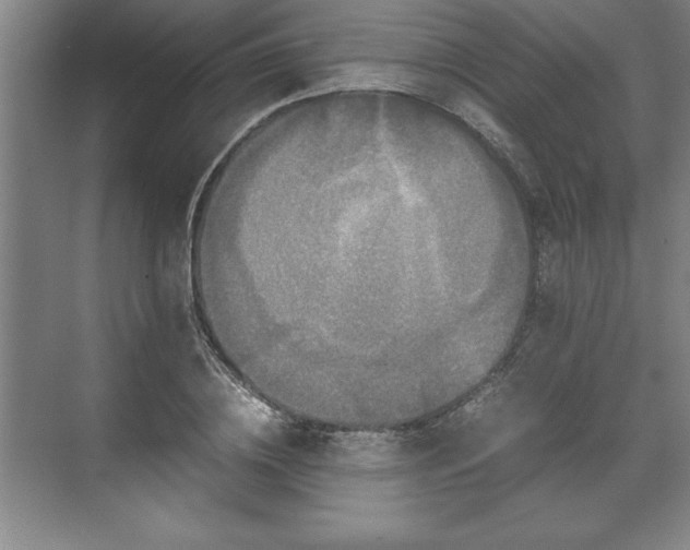 X0000071780836200607071427