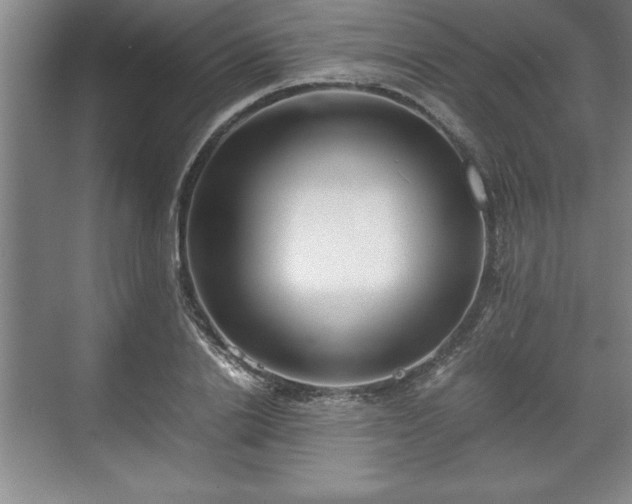 X0000071780838200607071428