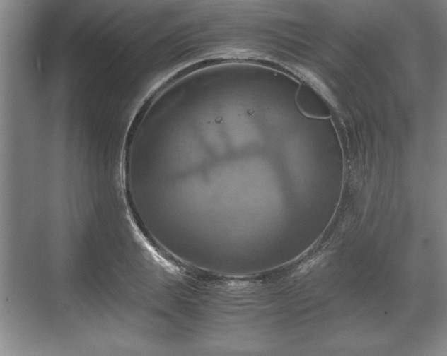 X0000071780839200607071428