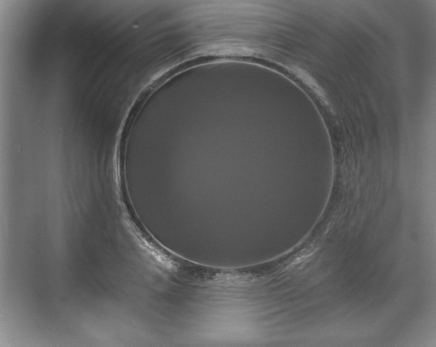 X0000071780840200607071428