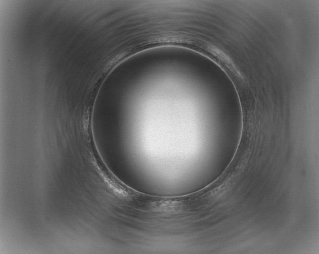 X0000071780841200607071428