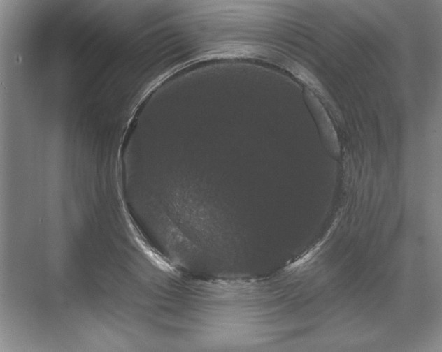 X0000071780842200607071428